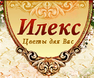 Илекс