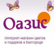 Оазис