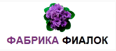 Фабрика Фиалок