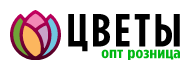 Цветы Опт Розница